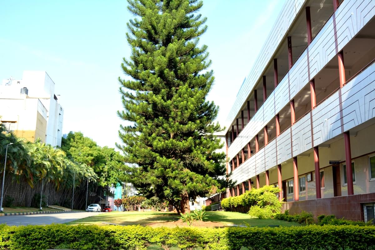 RNSIT Infrastructure photo 45